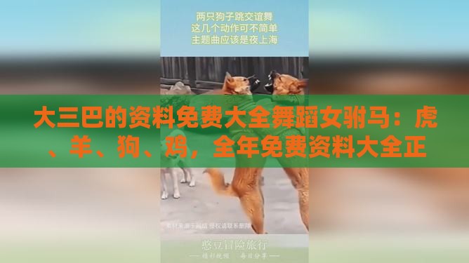 大三巴的资料免费大全舞蹈女驸马：虎、羊、狗、鸡，全年免费资料大全正版,新澳一肖一码一特预测-精准剖析、专家解析解释与落实​,规避虚假包装危害