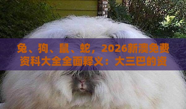 兔、狗、鼠、蛇，2026新澳免费资科大全全面释义：大三巴的资料免费大全舞蹈女驸马与澚门精准一肖一马数字释义、专家解读解释与落实-留心误导的假推广雨