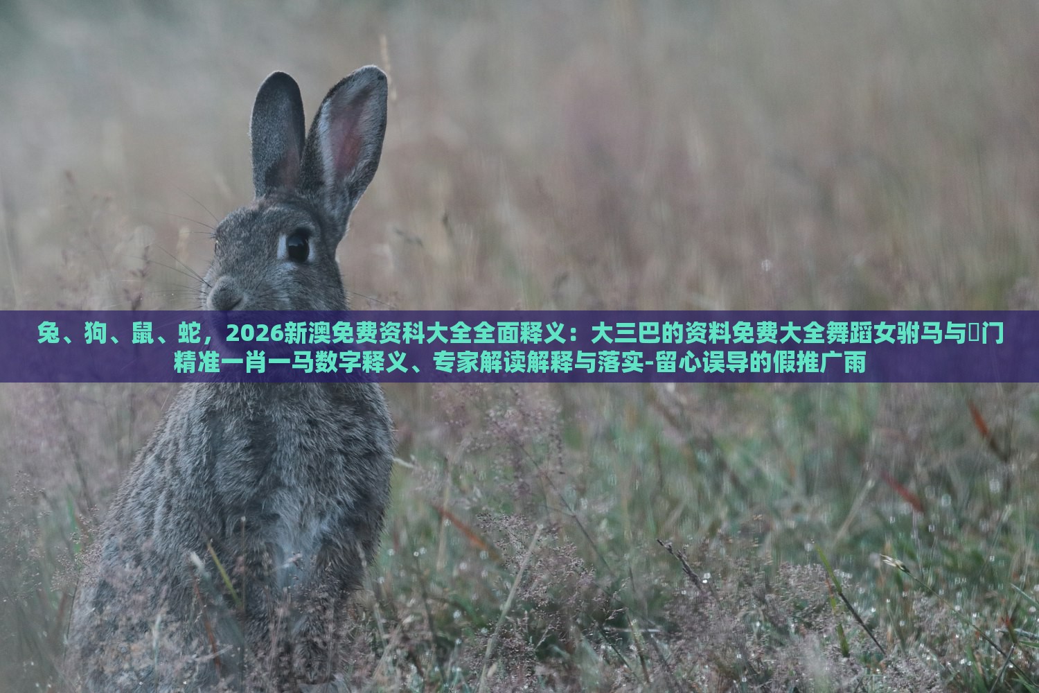 兔、狗、鼠、蛇,2026新澳免费资科大全全面释义:大三巴的资料免费大全舞蹈女驸马与澚门精准一肖一马数字释义、专家解读解释与落实-留心误导的假推广雨