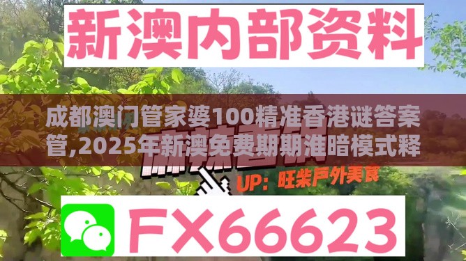 成都澳门管家婆100精准香港谜答案管,2025年新澳免费期期淮暗模式释义、专家解析解释与落实,提防二手平台欺诈