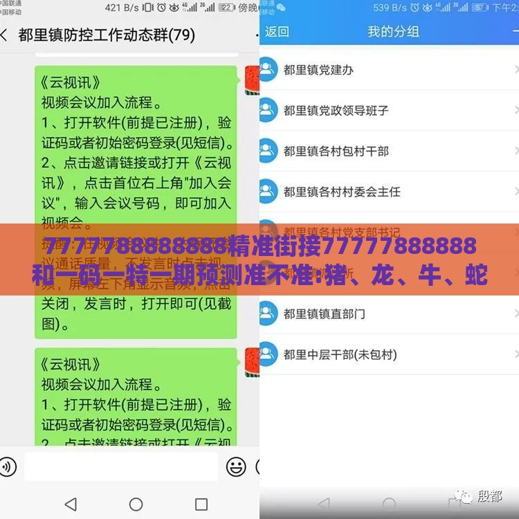 7777788888888精准街接77777888888和一码一特一期预测准不准:猪、龙、牛、蛇-方案解读、解释与落实,防范虚假诱惑钩