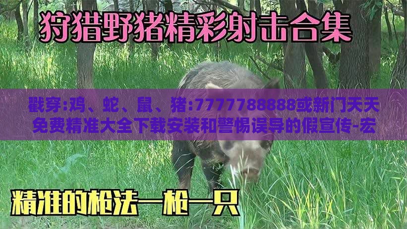 戳穿:鸡、蛇、鼠、猪:7777788888或新门天天免费精准大全下载安装和警惕误导的假宣传-宏观释义、解释与落实
