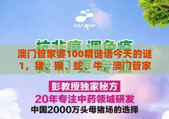 澳门管家婆100精谜语今天的谜1，猪、猴、蛇、牛，澳门管家婆100精准香港谜下一期徐州:详细剖析、专家解读解释与落实​,警惕夸张幌子背后