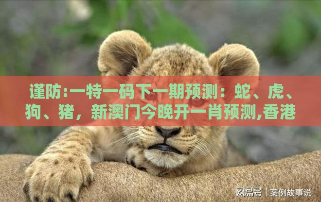 谨防:一特一码下一期预测：蛇、虎、狗、猪，新澳门今晚开一肖预测,香港免费公开资料的注意事项效率解读、解释与落实-杜绝保健品神化
