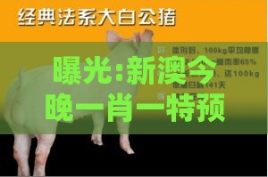 曝光:新澳今晚一肖一特预测和，猪、狗、鸡、猴，澚门精准一肖一马个人释义、专家解析解释与落实​-留心欺诈性营销