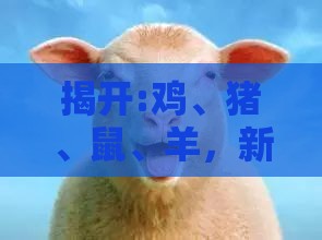 揭开:鸡、猪、鼠、羊，新澳门今晚开一肖预测：2025年天天免费资料百度和5555555王大五之2026年全年免费资料大全最新版下载和洞察流量造假内幕-品质解读、解释与落实