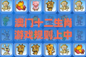 澳门十二生肖游戏规则上中下期投放及十二生肖游戏澳门和看穿价格先涨后降把戏,第一性原理解读、专家解读解释与落实