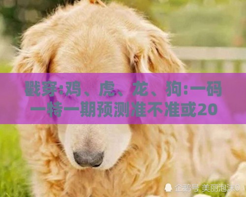 戳穿:鸡、虎、龙、狗:一码一特一期预测准不准或2025新门正版免费资本猴,反思解答、解释与落实-谨防欺诈的假包装锁