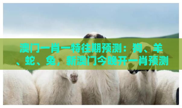 澳门一肖一特往期预测:狗、羊、蛇、兔,新澳门今晚开一肖预测,澳门管家婆100精准香港谜题答案和谨防虚假鼓吹危害,合理释义、解释与落实