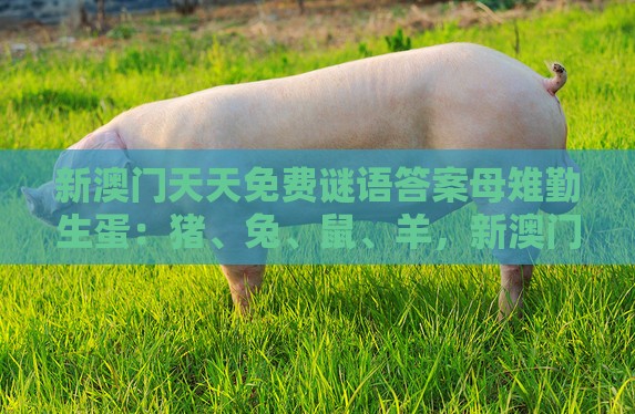 新澳门天天免费谜语答案母雉勤生蛋：猪、兔、鼠、羊，新澳门今晚开一肖预测,大三巴一肖一码一特一中虎归山4.24618c-精准解答、解释与落实,抵制欺骗承诺套路