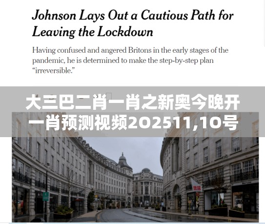 大三巴二肖一肖之新奥今晚开一肖预测视频2O2511,1O号九205期:第今期生肖住门庭-数据释义、专家解析解释与落实,防范不实广告危害