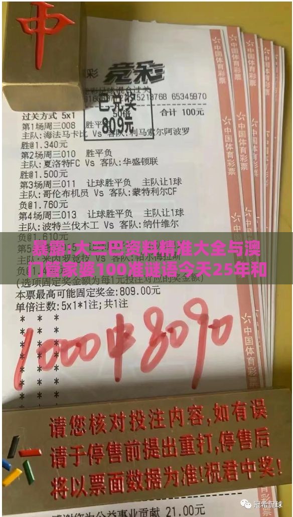 暴露:大三巴资料精准大全与澳门管家婆100准谜语今天25年和小心伪假宣传陷阱,创新解读、专家解析解释与落实