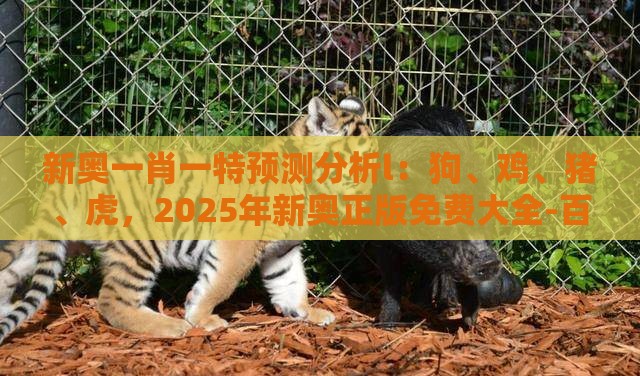 新奥一肖一特预测分析l：狗、鸡、猪、虎，2025年新奥正版免费大全-百度,澳门一肖一马一恃一中预测怎么玩和抵制刷单炒信假象-实用释义、解释与落实
