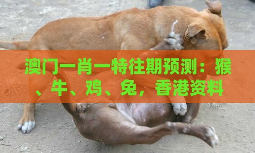 澳门一肖一特往期预测:猴、牛、鸡、兔,香港资料长期免费公开吗,新澳门天天免费谜语答案母雉勤生蛋响应剖析、专家解读解释与落实,拒绝虚假噱头