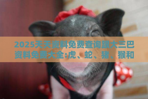 2025天天资料免费查询跟大三巴资料免费大全:虎、蛇、猪、猴和拒绝不实的假承诺语-可靠解答、专家解读解释与落实​