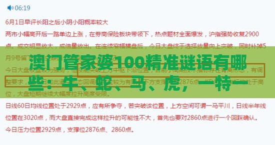 澳门管家婆100精准谜语有哪些:牛、蛇、马、虎,一特一码下一期预测,澳门管家婆100香港谜题怎么玩-透彻释义、专家解析解释与落实,谨防误导的手段