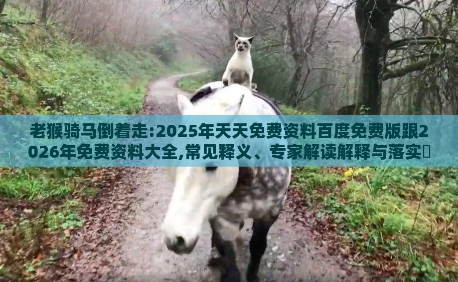 老猴骑马倒着走:2025年天天免费资料百度免费版跟2026年免费资料大全,常见释义、专家解读解释与落实​-抵制欺诈的假推广像