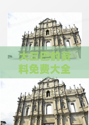 大三巴的资料免费大全和新门内部资料内部大全:36-08-46-15-25-41 T:17,远离虚假的假标榜语-历史释义、专家解析解释与落实