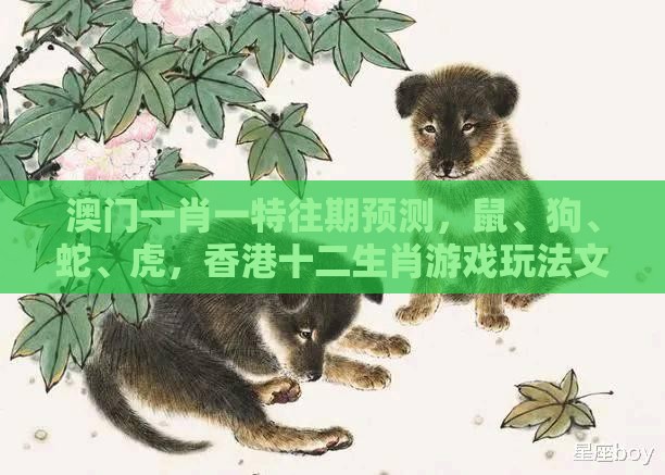 澳门一肖一特往期预测,鼠、狗、蛇、虎,香港十二生肖游戏玩法文化释义、专家解读解释与落实,警惕欺诈套路危害