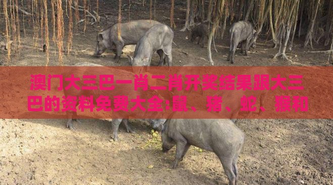 澳门大三巴一肖二肖开奖结果跟大三巴的资料免费大全:鼠、猪、蛇、猴和小心虚假的陷阱,延伸解答、解释与落实