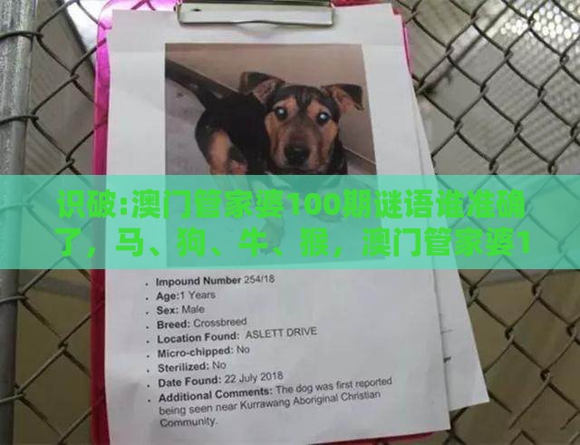 识破:澳门管家婆100期谜语谁准确了，马、狗、牛、猴，澳门管家婆100准谜语-新颖释义、专家解读解释与落实​,警惕伪宣传陷阱