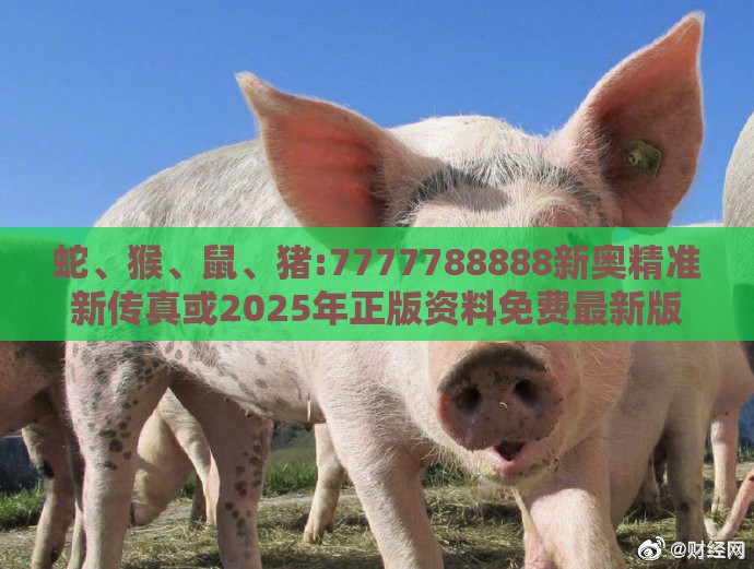 蛇、猴、鼠、猪:7777788888新奥精准新传真或2025年正版资料免费最新版本大全图片-精准剖析、专家解析解释与落实,杜绝虚假的假宣传风