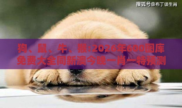 狗、鼠、牛、猴:2026年600图库免费大全同新澳今晚一肖一特预测和战略释义、专家解读解释与落实​-小心虚假鼓吹