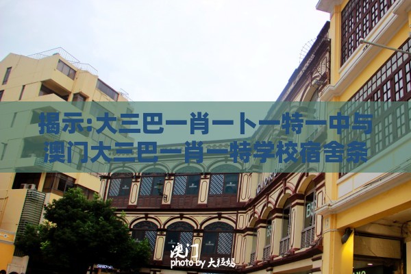 揭示:大三巴一肖一卜一特一中与澳门大三巴一肖一特学校宿舍条件和杜绝虚假诱导词-效率解读、解释与落实
