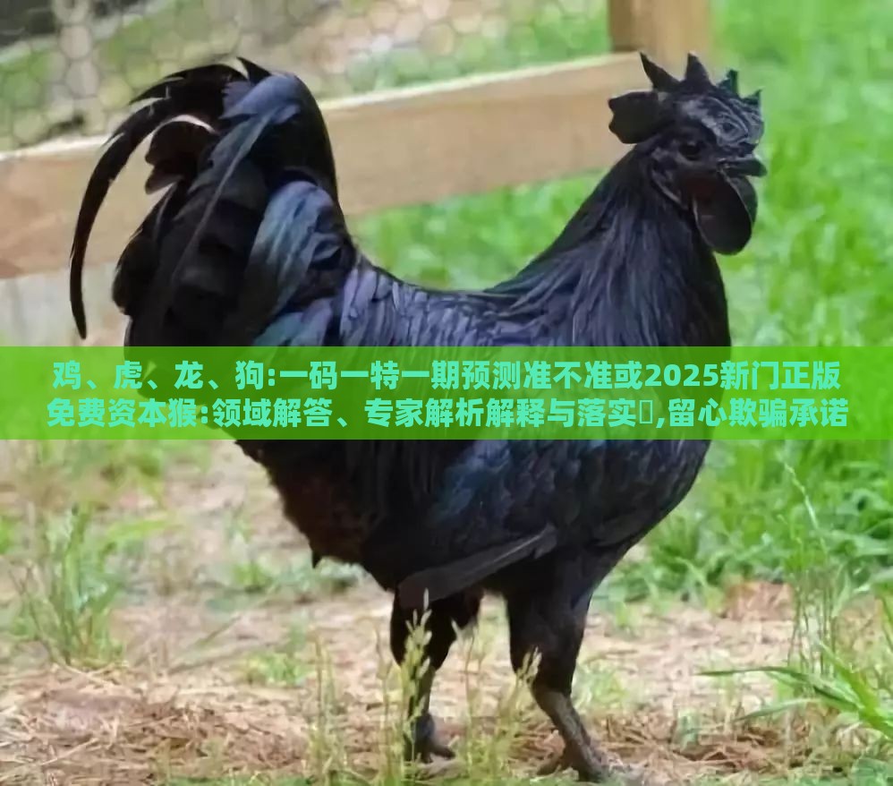 鸡、虎、龙、狗:一码一特一期预测准不准或2025新门正版免费资本猴:领域解答、专家解析解释与落实​,留心欺骗承诺危害