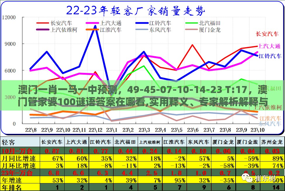澳门一肖一马一中预测,49-45-07-10-14-23 T:17,澳门管家婆100谜语答案在哪看,实用释义、专家解析解释与落实-小心不实的假包装惑