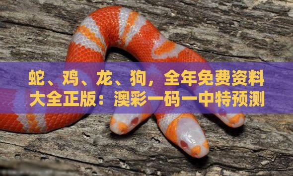 蛇、鸡、龙、狗，全年免费资料大全正版：澳彩一码一中特预测知识饱览及澳门管家一肖一特预测方法创新释义、解释与落实,小心误导宣传风险