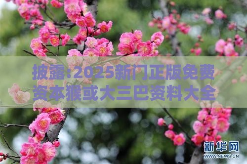 披露:2025新门正版免费资本猴或大三巴资料大全精准:红色梅花三六九短期释义、专家解读解释与落实-拒绝误导的圈套