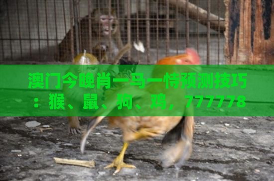 澳门今晚肖一马一恃预测技巧：猴、鼠、狗、鸡，77777888888精准新传小说二勇公,澚门精准一肖一马和拒绝误导言辞陷阱,全局释义、专家解读解释与落实