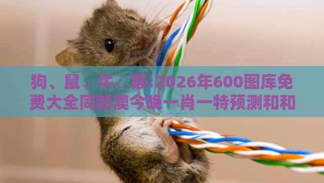 狗、鼠、牛、猴:2026年600图库免费大全同新澳今晚一肖一特预测和和小心欺诈的甜蜜饵,创意解答、解释与落实