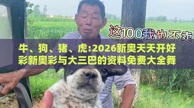 牛、狗、猪、虎:2026新奥天天开好彩新奥彩与大三巴的资料免费大全舞蹈女驸马,精准解答、专家解读解释与落实​-抵制不实的蛊惑