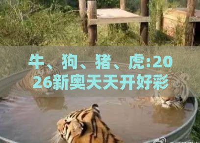 牛、狗、猪、虎:2026新奥天天开好彩新奥彩与大三巴的资料免费大全舞蹈女驸马,精准解答、专家解读解释与落实-抵制不实的蛊惑