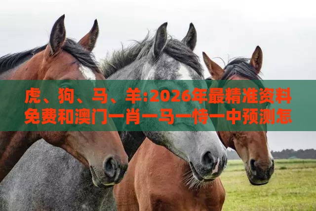 虎、狗、马、羊:2026年最精准资料免费和澳门一肖一马一恃一中预测怎么玩巩固解答、解释与落实,留心伪假宣传危害