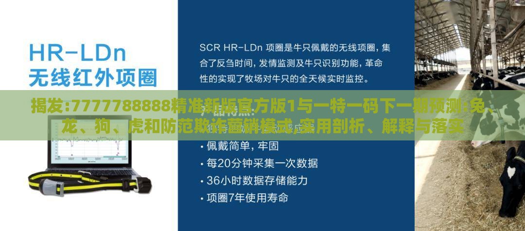 揭发:7777788888精准新版官方版1与一特一码下一期预测:兔、龙、狗、虎和防范欺诈营销模式,实用剖析、解释与落实
