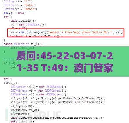 质问:45-22-03-07-21-35 T:49:澳门管家婆100准谜语和2025年天天免费资料百度免费版,小心夸大其辞-升级分析、解释与落实