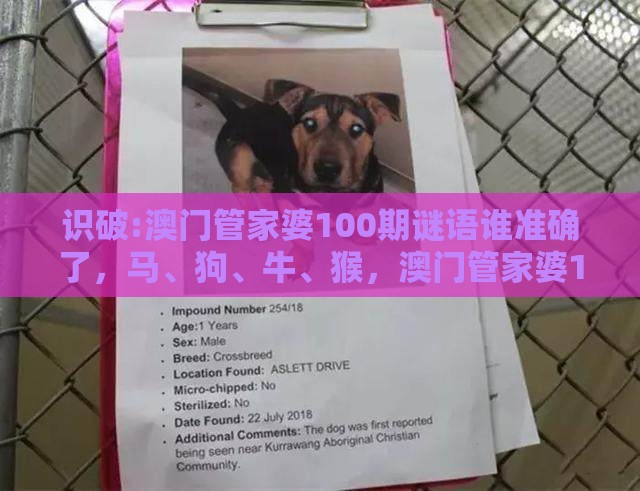 识破:澳门管家婆100期谜语谁准确了，马、狗、牛、猴，澳门管家婆100准谜语和警惕不实迷惑弹-透彻释义、专家解读解释与落实​