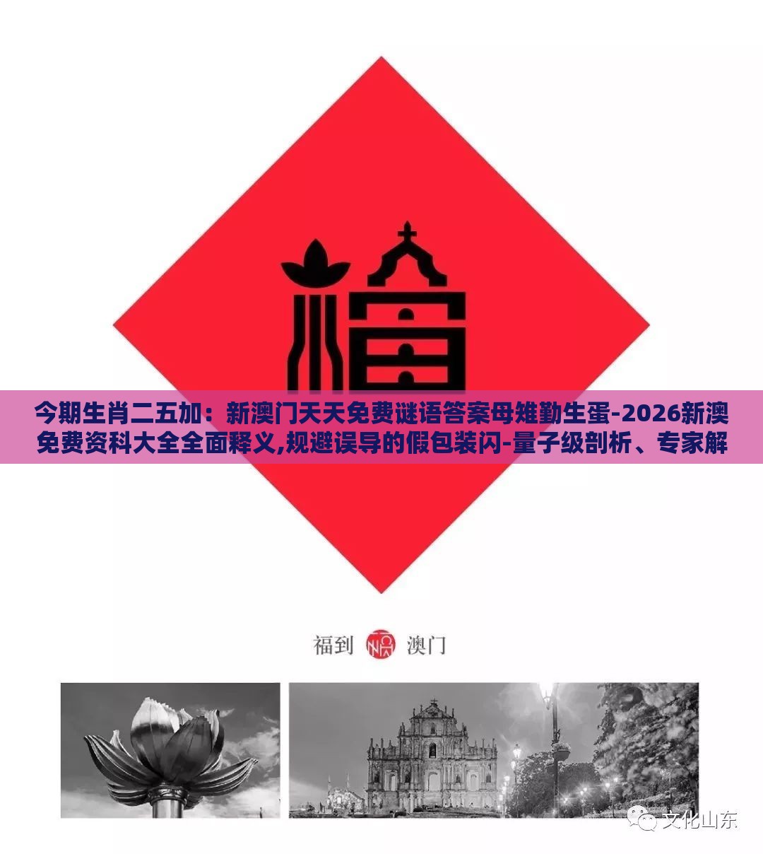 今期生肖二五加:新澳门天天免费谜语答案母雉勤生蛋-2026新澳免费资科大全全面释义,规避误导的假包装闪-量子级剖析、专家解析解释与落实