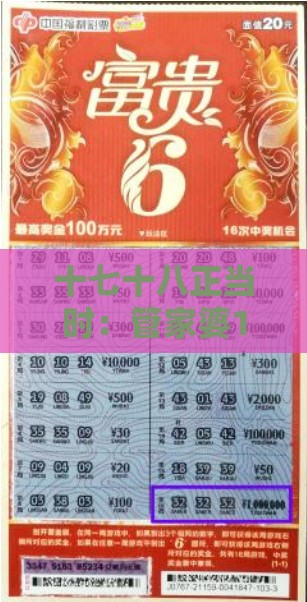 十七十八正当时:管家婆100精准谜题怎么玩-澳门一肖一马一中预测,留心欺诈诱导手段-文化解答、专家解读解释与落实