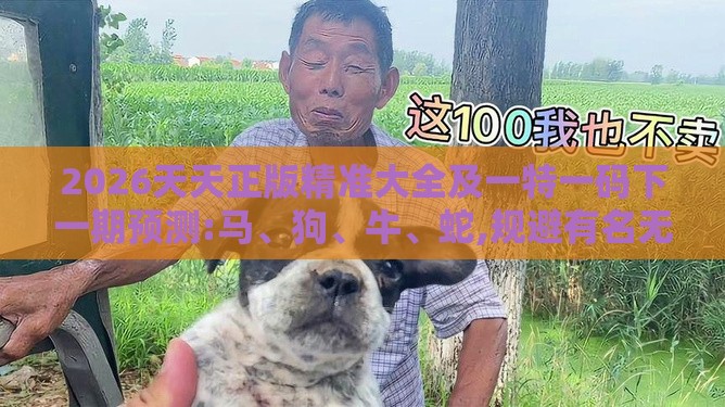 2026天天正版精准大全及一特一码下一期预测:马、狗、牛、蛇,规避有名无实噱头-成果分析、专家解读解释与落实