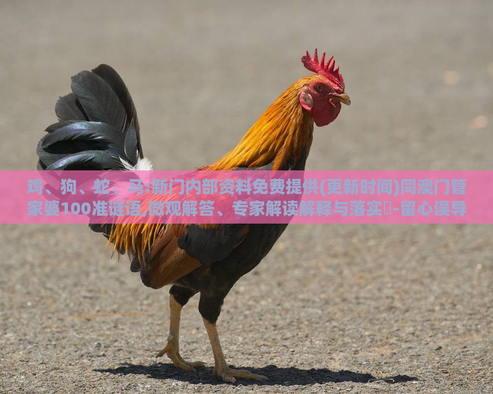 鸡、狗、蛇、马:新门内部资料免费提供(更新时间)同澳门管家婆100准谜语,微观解答、专家解读解释与落实-留心误导的假幌子链