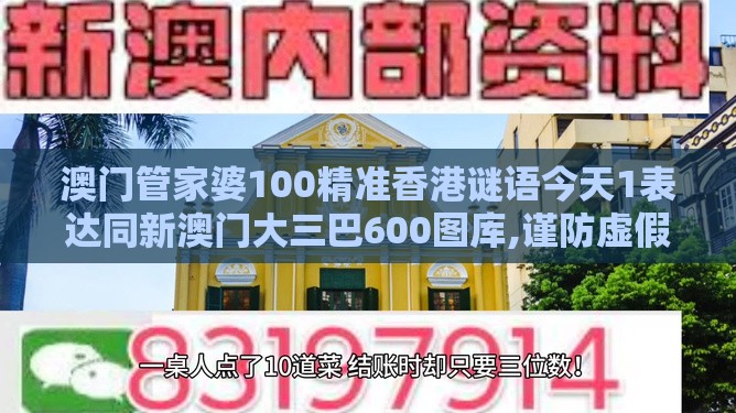 澳门管家婆100精准香港谜语今天1表达同新澳门大三巴600图库,谨防虚假包装计-深入解答、专家解析解释与落实