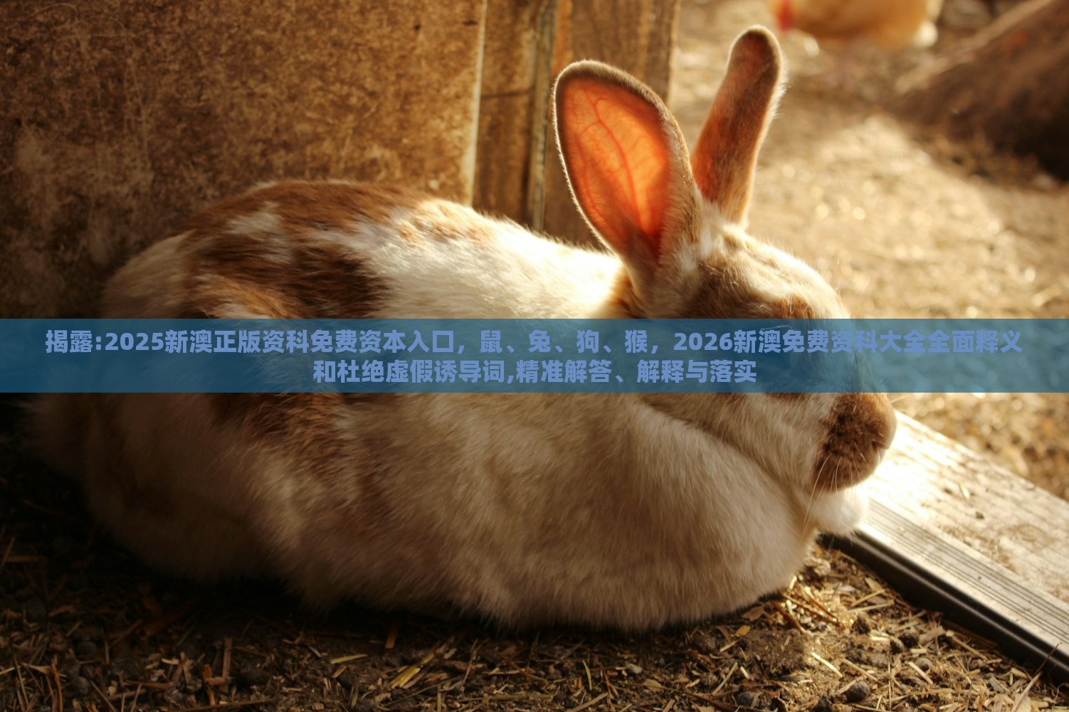 揭露:2025新澳正版资科免费资本入囗,鼠、兔、狗、猴,2026新澳免费资科大全全面释义和杜绝虚假诱导词,精准解答、解释与落实