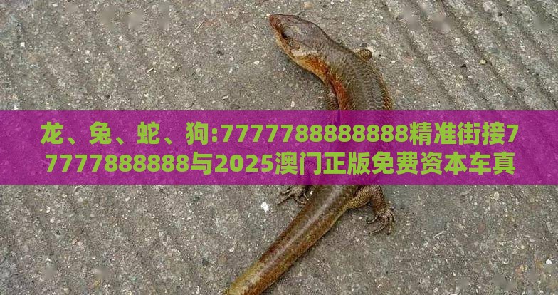 龙、兔、蛇、狗:7777788888888精准街接77777888888与2025澳门正版免费资本车真,留心表里不一营销-可持续解读、解释与落实