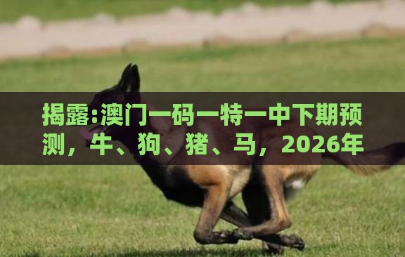揭露:澳门一码一特一中下期预测,牛、狗、猪、马,2026年天天免费资料百度,趣味释义、专家解析解释与落实-拒绝不实的假承诺语