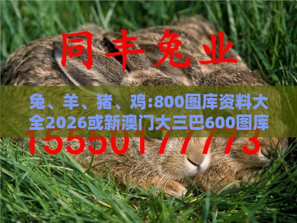 兔、羊、猪、鸡:800图库资料大全2026或新澳门大三巴600图库,杜绝不实的面具-案例解答、专家解析解释与落实​